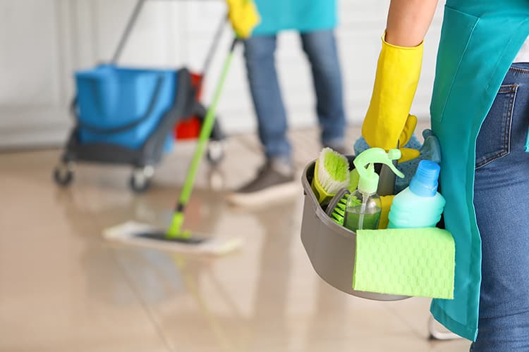 Professional Cleaning Team